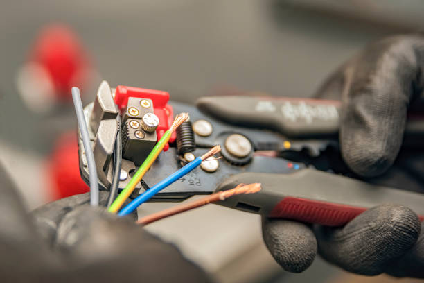 Best Electric Panel Repair  in Newton, AL