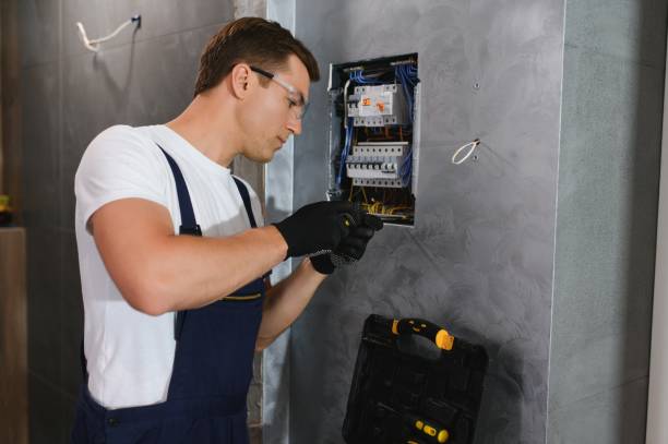 Best Ceiling Fan Installation Electrician  in Newton, AL